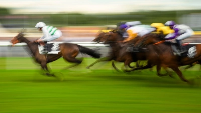 Mit Plänen für höhere Wettsteuern bringt die Pariser Regierung die Reitsportbranche gegen sich auf (Archivbild). (Foto: Gregor Fischer/dpa)