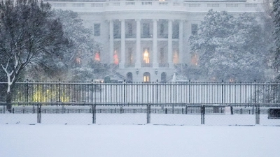 Auch in der US-Hauptstadt Washington und der Region fielen bis zu 20 Zentimeter Schnee. (Foto: Matt Rourke/AP/dpa)