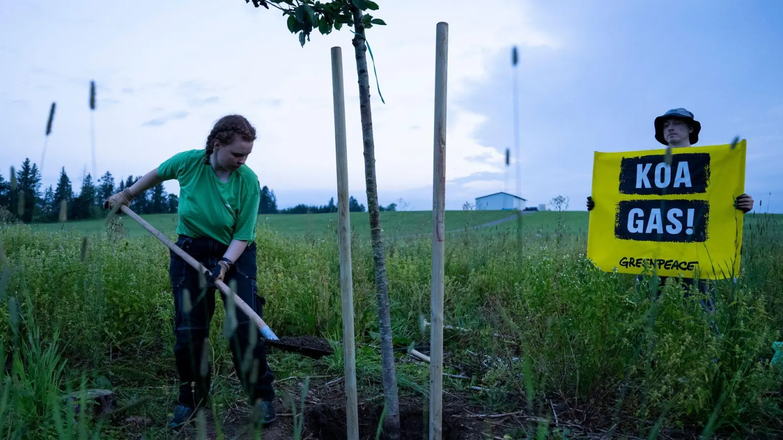 Aktivisten der Umweltschutz-Organisation Greenpeace pflanzen zum Protest gegen Gasbohrungen Bäume auf dem geplanten Bohrfeld. (Foto: Lennart Preiss/dpa)