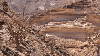 Die Gebirge im Oman ziehen viele Wander-Touristen an (Foto: Manuel Meyer/dpa-tmn)