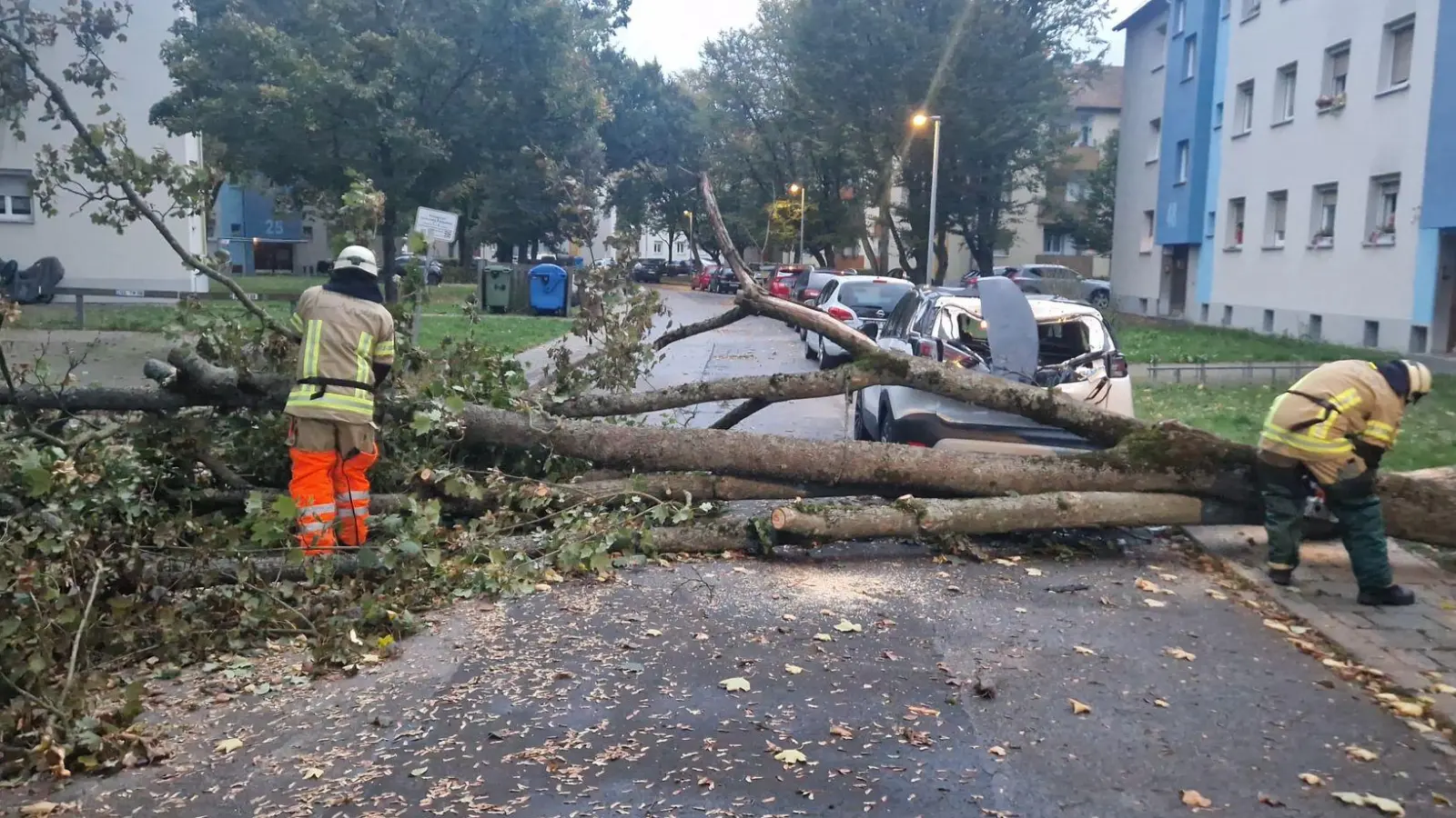 In Bamberg musste die Feuerwehr einen auf ein Auto gestürzten Baum von der Straße räumen. (Foto: Ferdinand Merzbach/NEWS5/dpa)