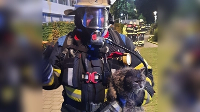 Die Feuerwehr rettete nach eigenen Angaben vier Katzen aus der Brandwohnung. (Foto: -/Berufsfeuerwehr München/dpa)