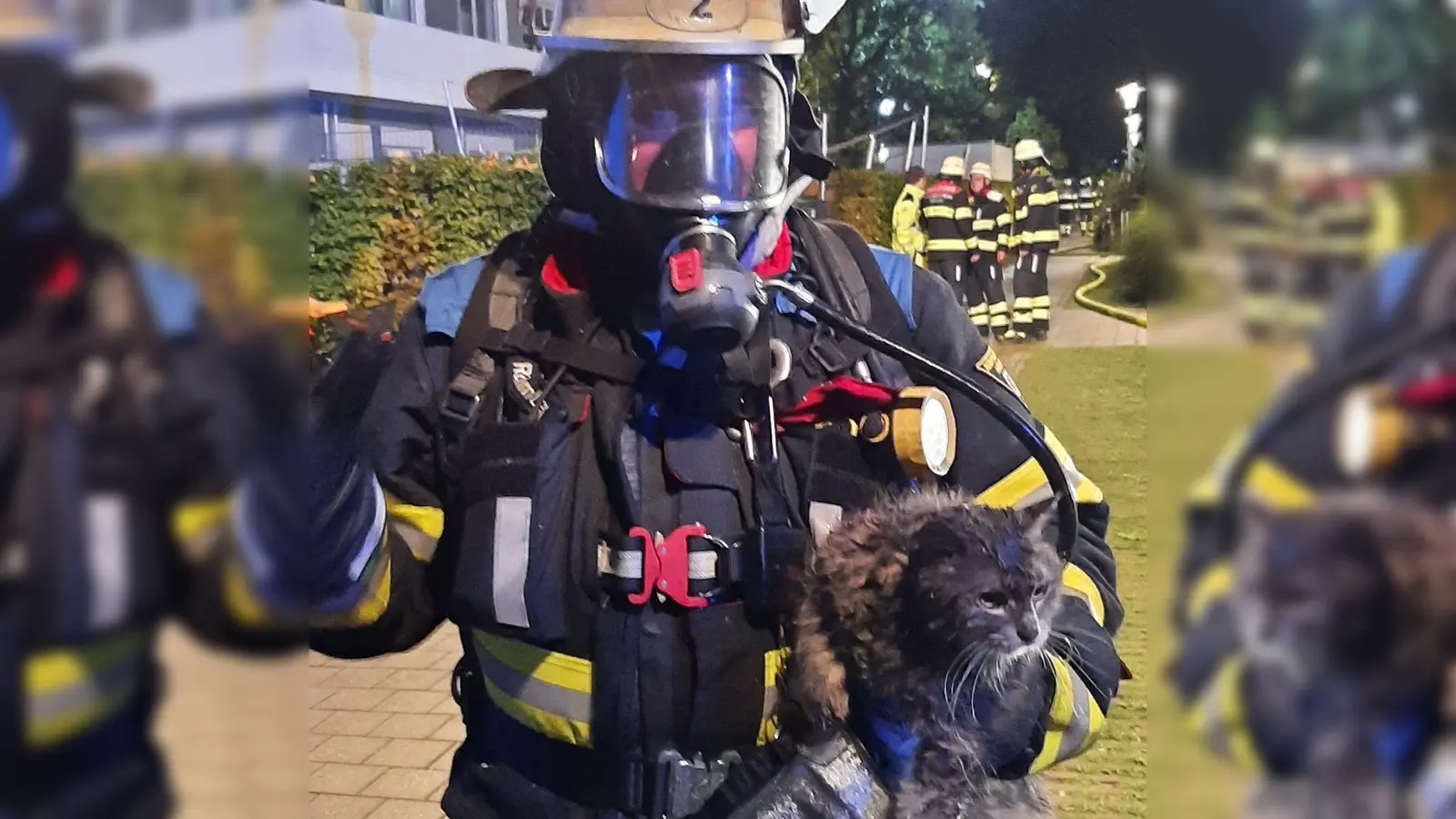 Die Feuerwehr rettete nach eigenen Angaben vier Katzen aus der Brandwohnung. (Foto: -/Berufsfeuerwehr München/dpa)