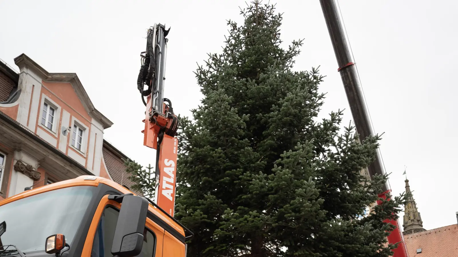 Der neue Weihnachtsbaum auf dem Martin-Luther-Platz in Ansbach wurde aufgestellt. (Foto: Stadt Ansbach/Stefan Guggenberger)