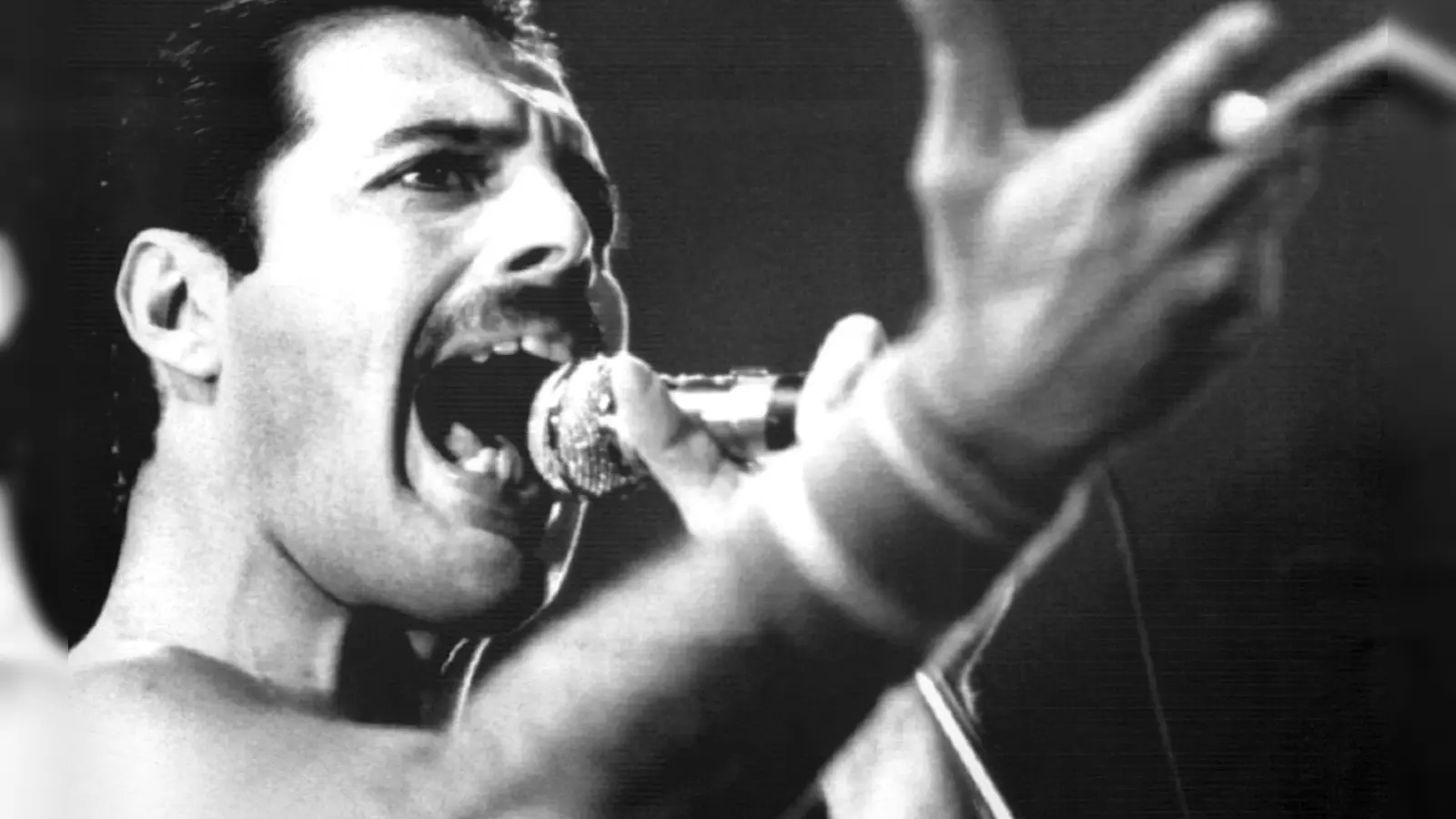 Rocklegende mit gewaltiger Stimme: „Queen“-Frontmann Freddie Mercury (1946-1991). (Foto: picture alliance / dpa)