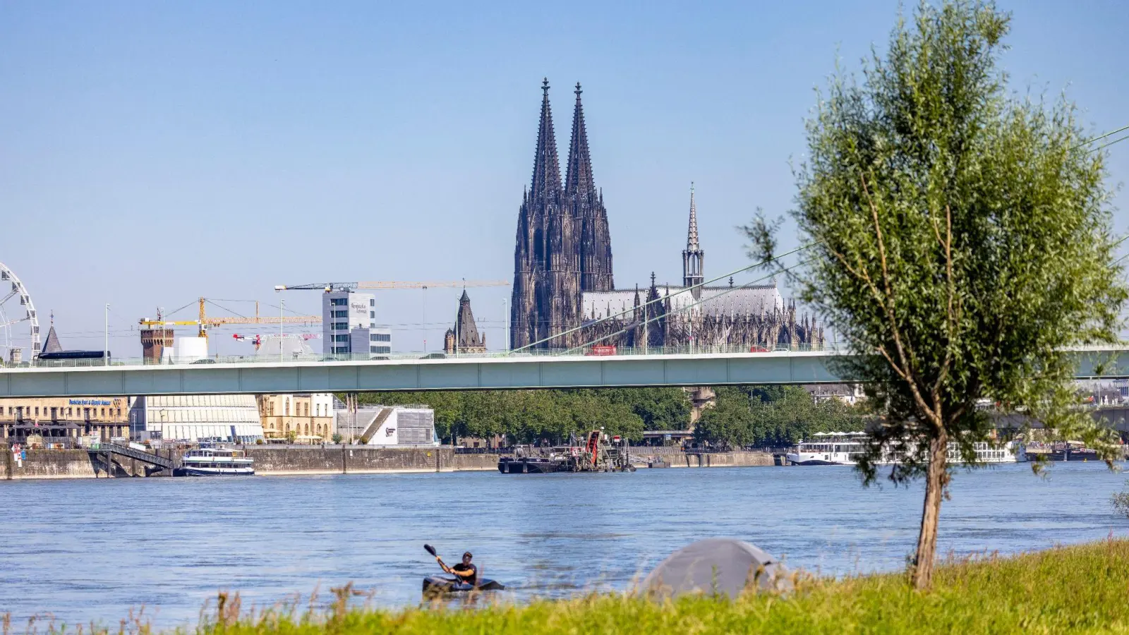 Ein Kajakfahrer rudert auf dem Rhein, im Hintergrund ist der Kölner Dom und die Severinbrücke zu sehen. (Foto: Thomas Banneyer/dpa)