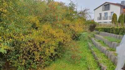 Eine Wildhecke trennte bisher den Spielplatz Schelbuck von einer Wohnhäuser-Reihe ab. (Foto: Heike Lechler)