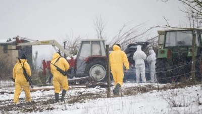 Nach dem Ausbruch der Maul- und Klauenseuche müssen weitere Tiere getötet werden - Personen in Schutzanzügen sind im Einsatz. (Foto: Sebastian Christoph Gollnow/dpa)