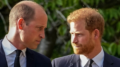 William und Harry beim Begräbnis für die verstorbene Königin Elizabeth II. vor Schloss Windsor. (Foto: Martin Meissner/AP/dpa)