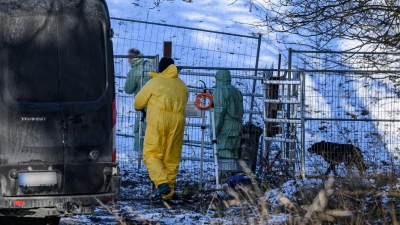 Das Virus kann monate- oder gar jahrelang infektiös bleiben, auch wenn es im Erdboden ist oder eingetrocknet. (Foto: Patrick Pleul/dpa)