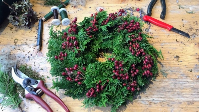 Klassisch, aber nicht langweilig: Hagebutten zieren diesen Adventskranz. (Foto: Rainer Kumetat/Staudengärtnerei Bornhöved/dpa-tmn)