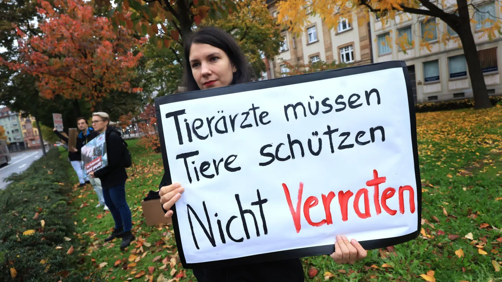 Zwei amtliche Tierärztinnen sollen den Schlachthof Aschaffenburg vor unangekündigten Kontrollen gewarnt haben. (Foto: Karl-Josef Hildenbrand/dpa)