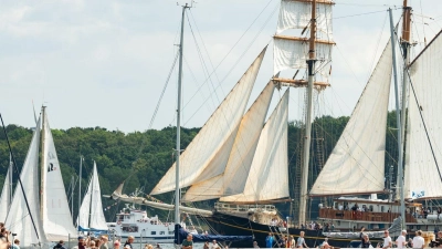 Zahlreiche große und kleine Segelschiffe fahren während der Windjammerparade auf der Kieler Förde. (Foto: Jonas Walzberg/dpa)