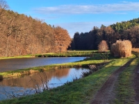 Weiherlandschaft - gesehen bei Birnbaum. (Foto: Hermann Klein)