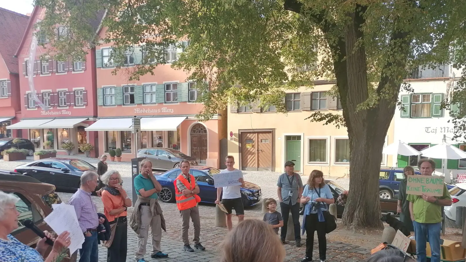 Auch bei der Linde in der Segringer Straße machte die Gruppe Station: Hier hieß es, das Grün müsse bewahrt bleiben und sich als „Seele der Stadt“ weiterentwickeln. (Foto: Friedrich Zinnecker)