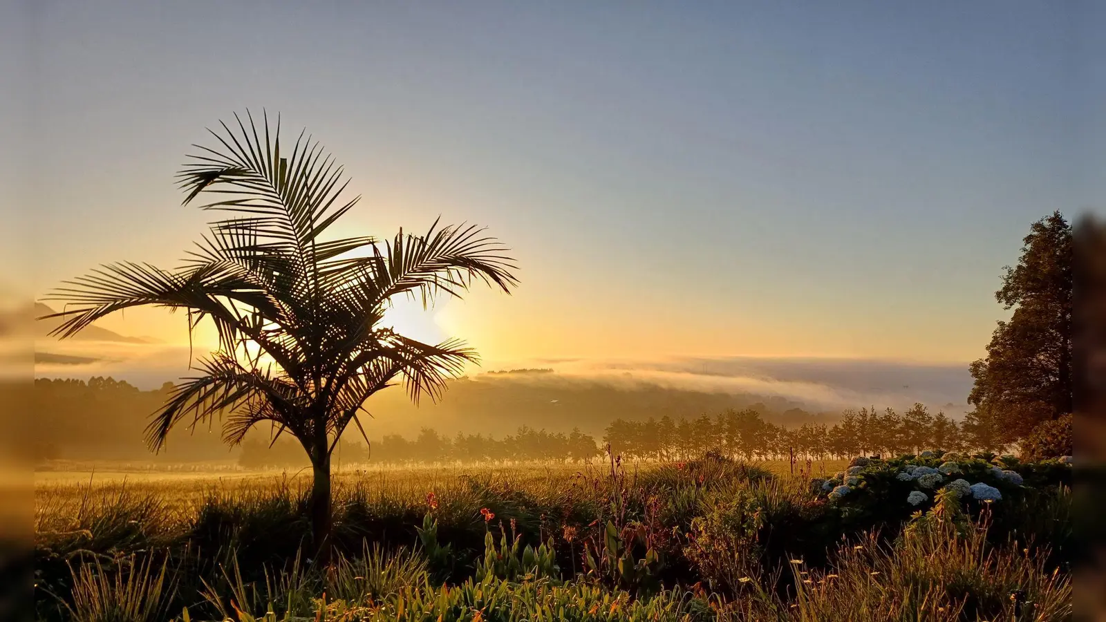 Früh aufstehen empfiehlt sich als Vogelbeobachter: Sonnenaufgang nahe der Stadt George an der Garden Route. (Foto: Christian Selz/dpa-tmn)