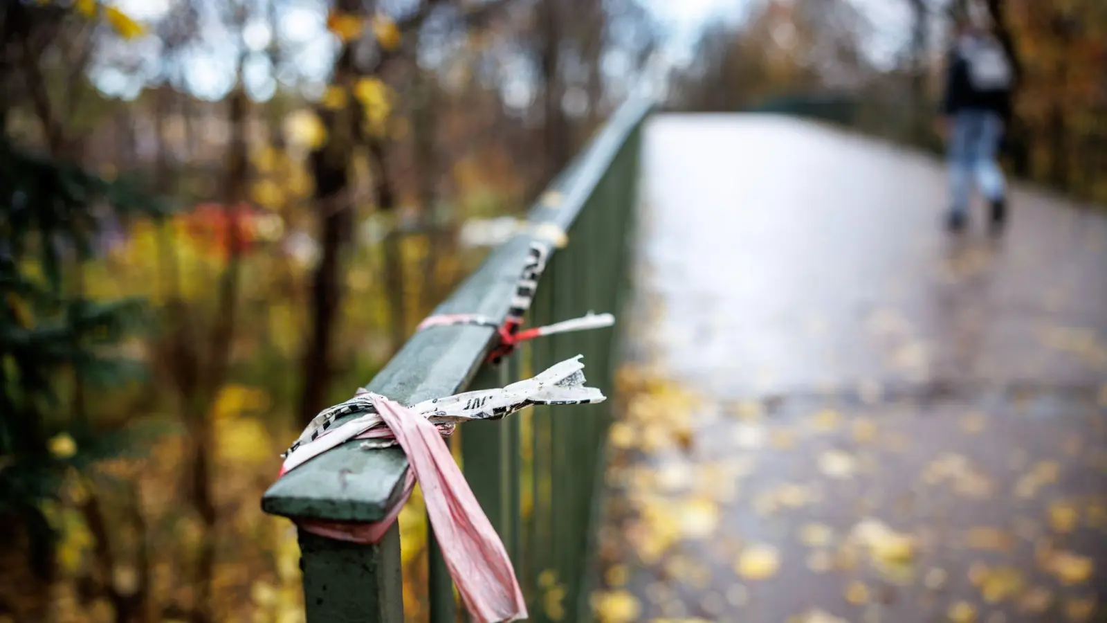 Der Tatort: Eine Fußgängerbrücke beim Englischen Garten (Foto: Matthias Balk/dpa)