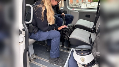 Eine Bundespolizistin kümmert sich nach der S-Bahnfahrt der entlaufenen „Chicka“ im Polizeibus um die Hündin. (Foto: -/Bundespolizeiinspektion München/dpa)