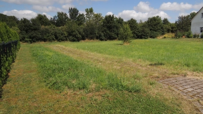 Ein Teil der Fläche vom Fußweg zwischen dem Ulmenweg und der Straße Am Heiligenholz aus gesehen. Das Grundstück, das ein Klima-Park werden soll, reicht bis zu der Hecke im Hintergrund. (Foto: Peter Zumach)