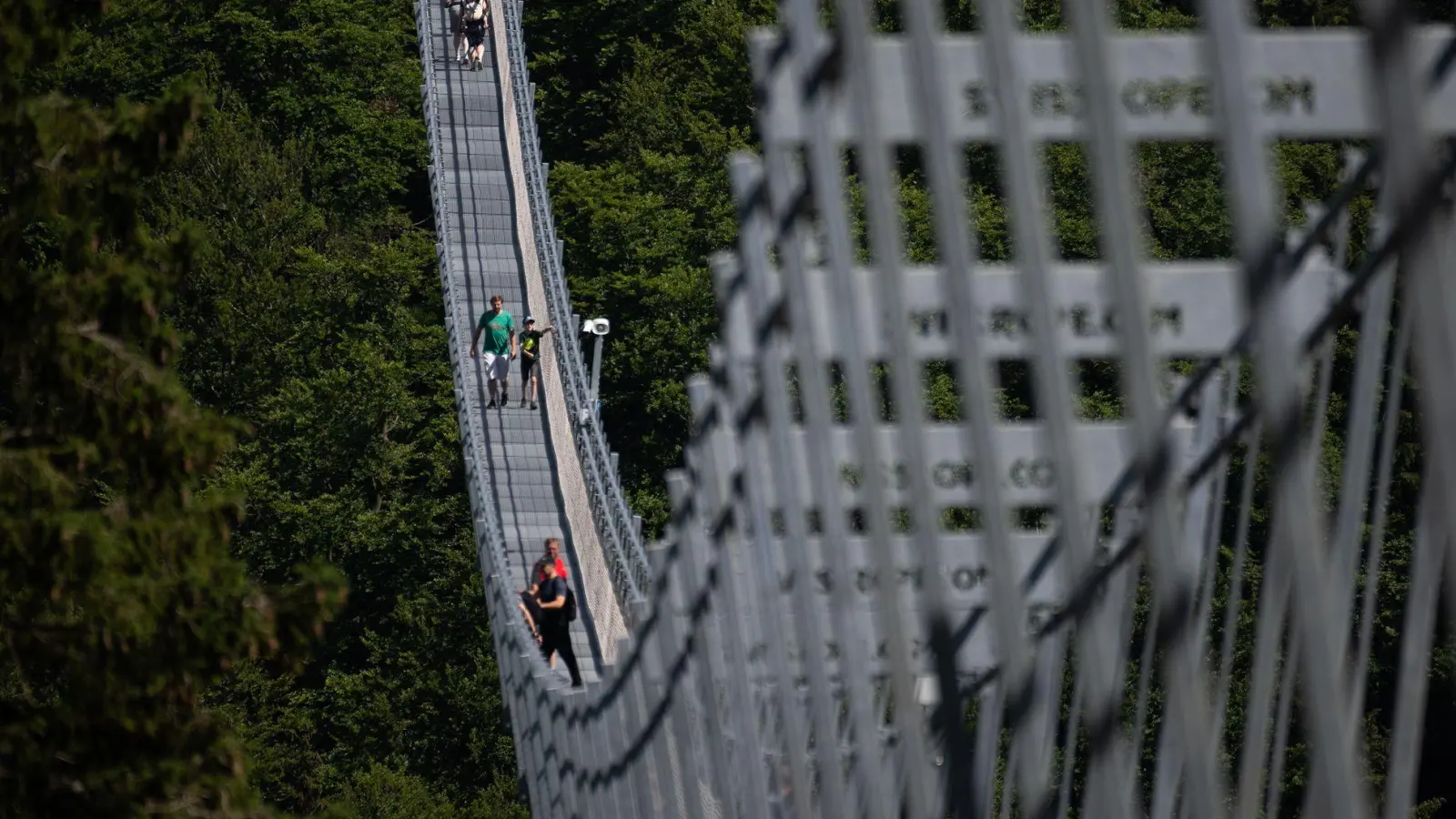 665 Meter ist der Skywalk Willingen lang: Es dauert also ein paar Minuten, um Deutschlands längste Fußgänger-Hängebrücke zu queren. (Foto: Swen Pförtner/dpa/dpa-tmn)