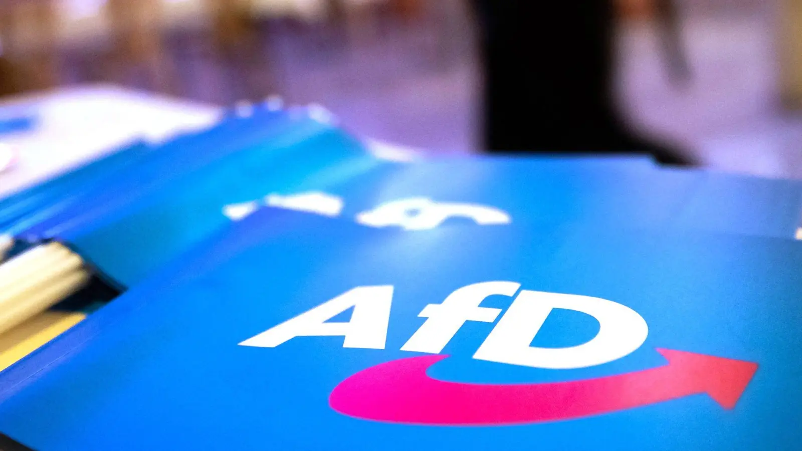 Aus Protest gegen das Goebbels-Zitat des AfD-Stadtrats verließen alle anderen Fraktionen und Gruppierungen bis zum Ende des Redebeitrags den Saal. (Symbolbild) (Foto: Daniel Karmann/dpa)