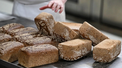 Vollkornbrote frisch aus dem Ofen. (Foto: Jens Kalaene/dpa)