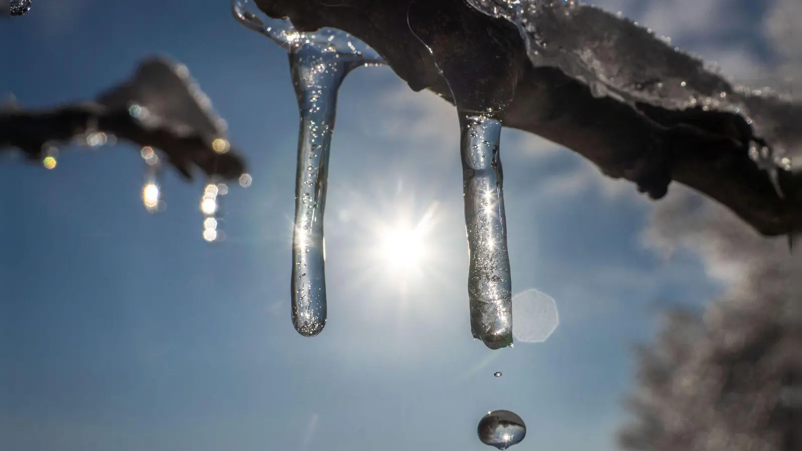 Am Wochenende können sich die Menschen in Bayern auf milde Temperaturen freuen. (Symbolbild) (Foto: Frank Rumpenhorst/dpa)