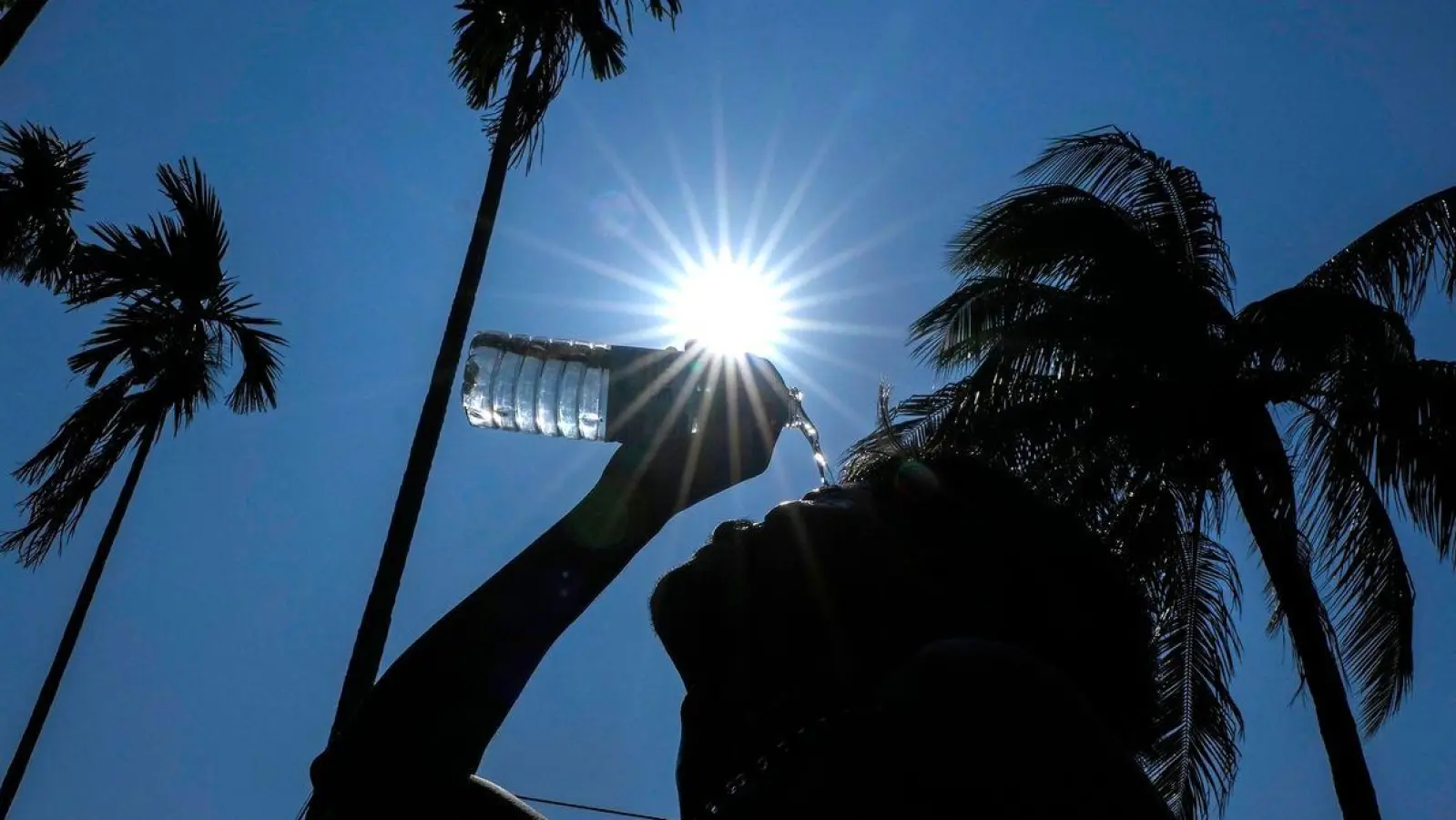 „Es gibt keinen Grund, dass Tech-Konzerne wie Google bei Klima-Suchanfragen Propaganda für fossile Brennstoffe ausspucken sollten“, sagt Michael Khoo von der Umweltorganisation Friends of the Earth. (Foto: Anupam Nath/AP/dpa)