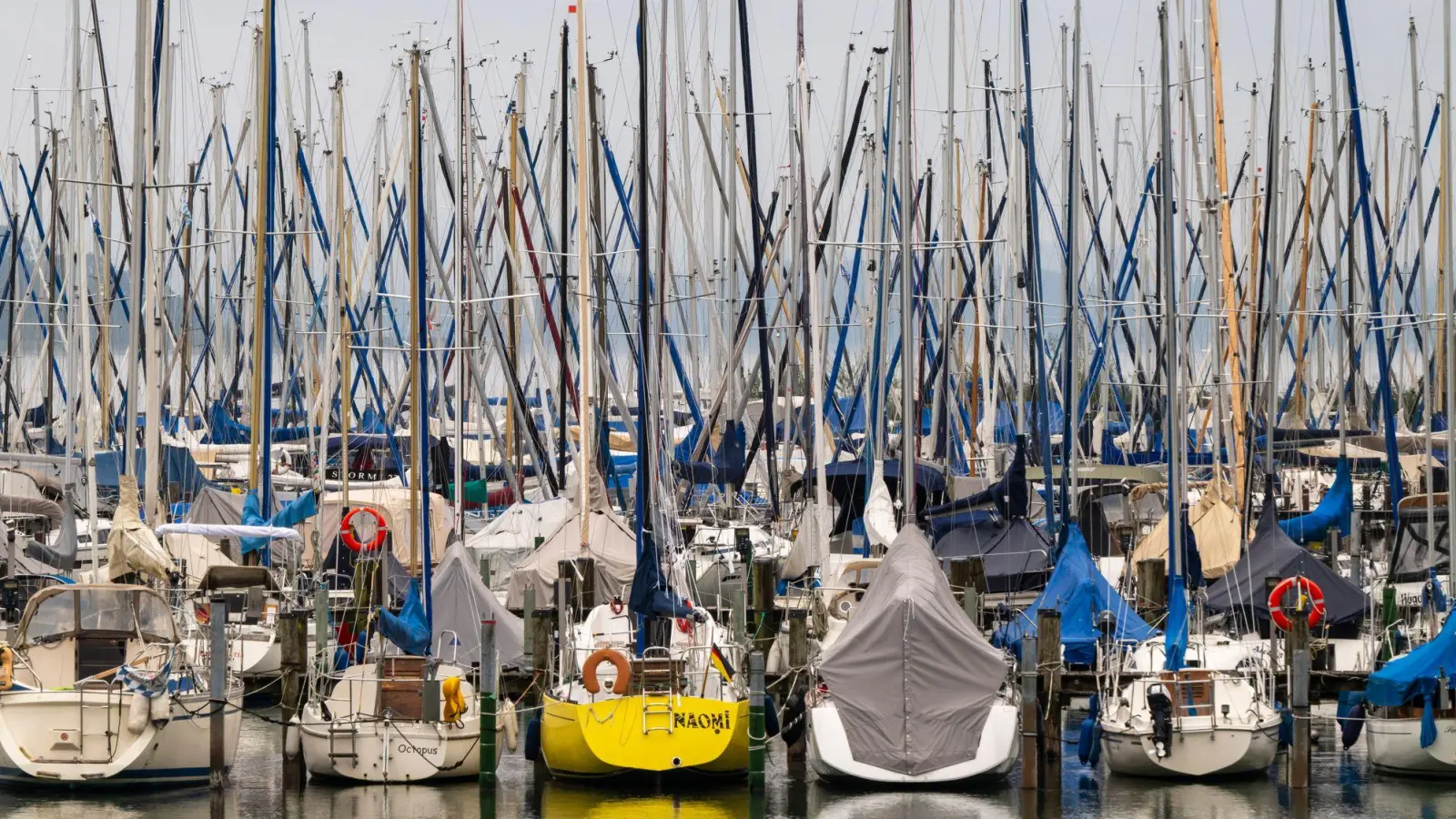 Der 66-Jährige fiel im Lindauer Segelhafen ins Wasser. (Symbolbild) (Foto: Peter Kneffel/dpa)