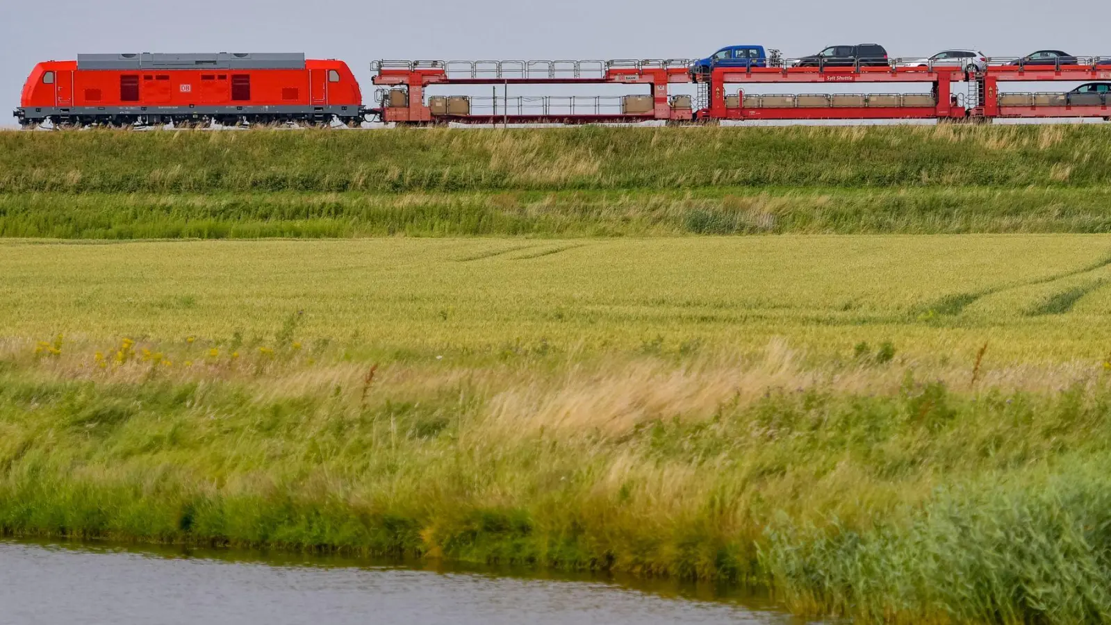 Der Sylt-Shuttle in der Nähe von Klanxbüll auf dem Weg zur Nordseeinsel. (Foto: Axel Heimken/dpa)